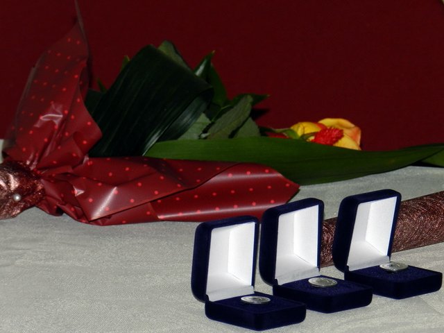 Kossuth Zsuzsanna emlékülés 2017 49